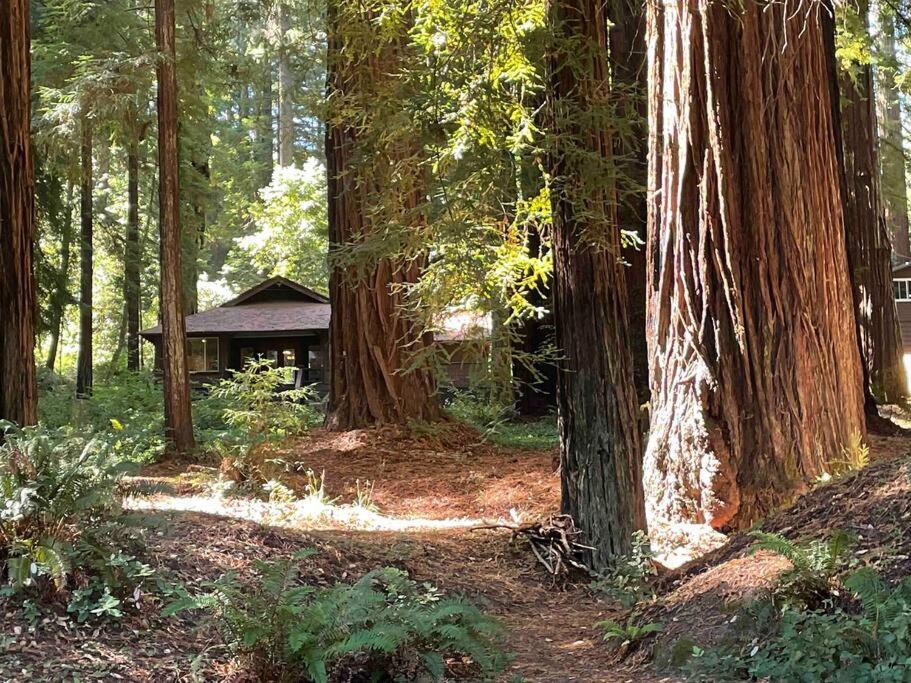 The Groves At Redway Beach - Craftsman 외부 사진
